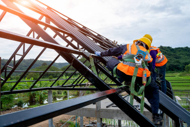 Best Residential Roofing Contractor  in Pahoa, HI