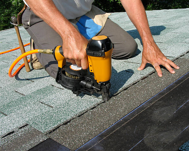 Best Commercial Roofing Services  in Pahoa, HI