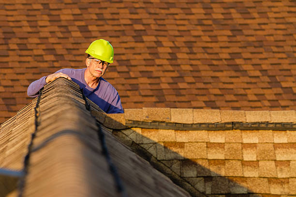 Best Flat Roof Repair Services  in Pahoa, HI