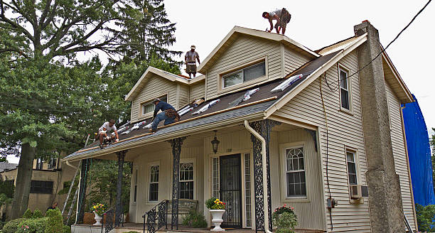 Best Roof Waterproofing Services  in Pahoa, HI